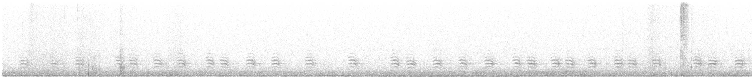 Weißbrustkleiber - ML188190331