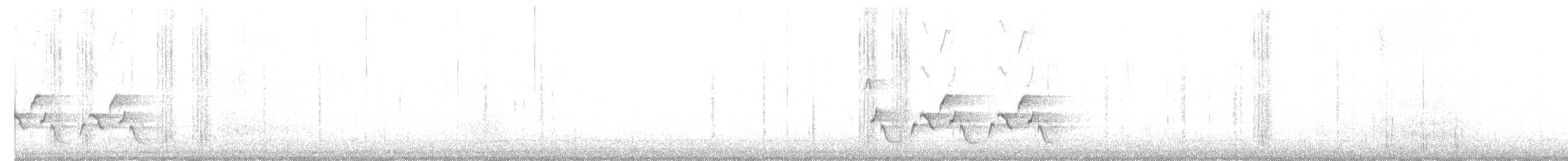Каролинский крапивник - ML188219371