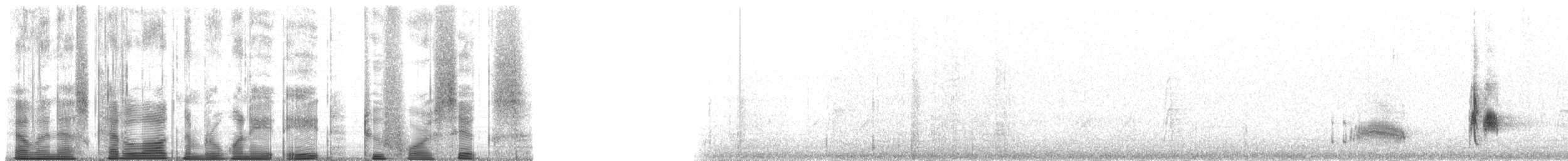 Cassin's Kingbird - ML188246