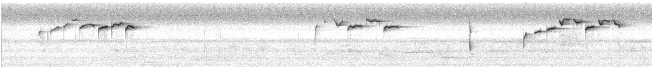 Pouillot de la Sonde (grammiceps) - ML188274071