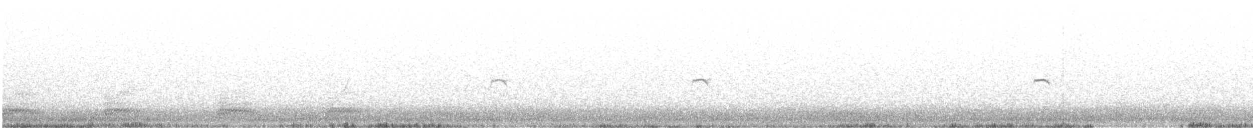 gransanger (tristis) (sibirgransanger) - ML188310561