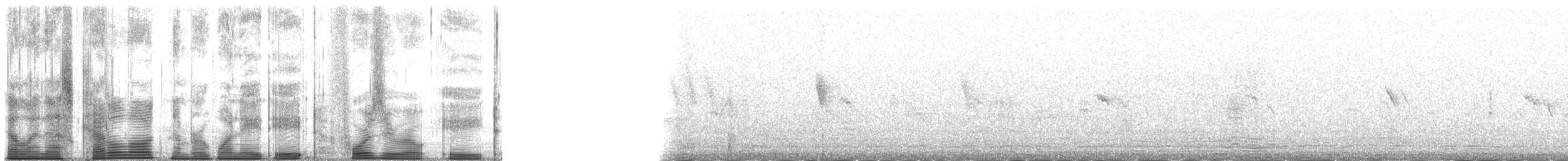 Lucy's Warbler - ML188408