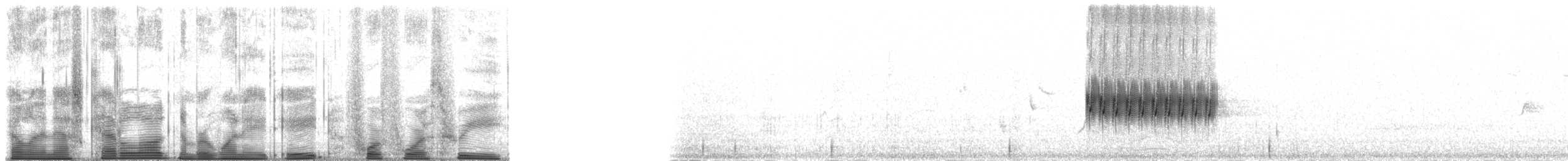 Пятнистый тохи - ML188443