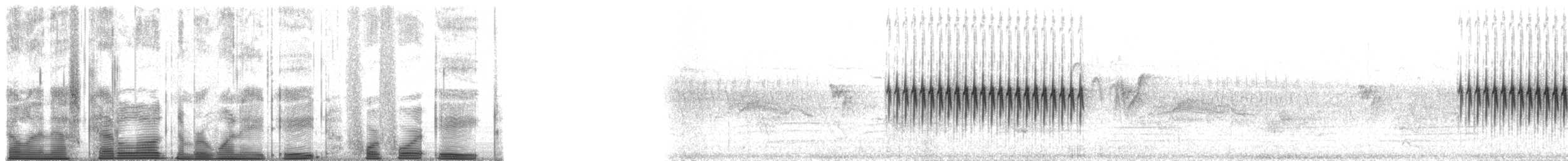 Юнко сірий [група oreganus] - ML188448