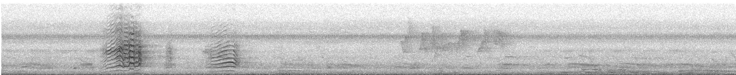 Malabar Gray Hornbill - ML188471421