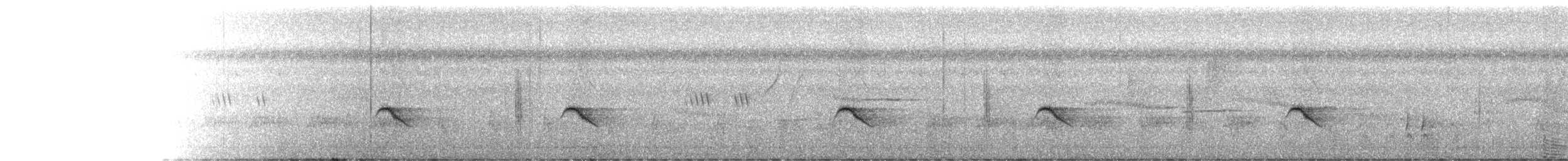 Pied Bushchat - ML188482511