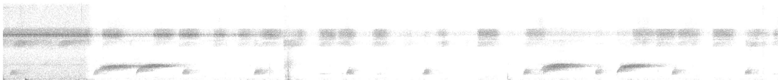 Каштановый скрытохвост - ML188516521
