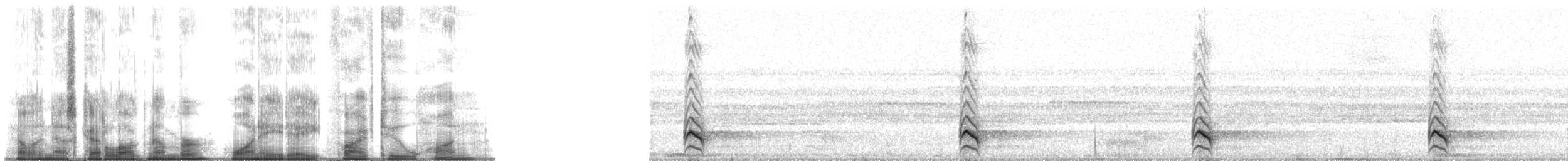 Barred Forest-Falcon - ML188521