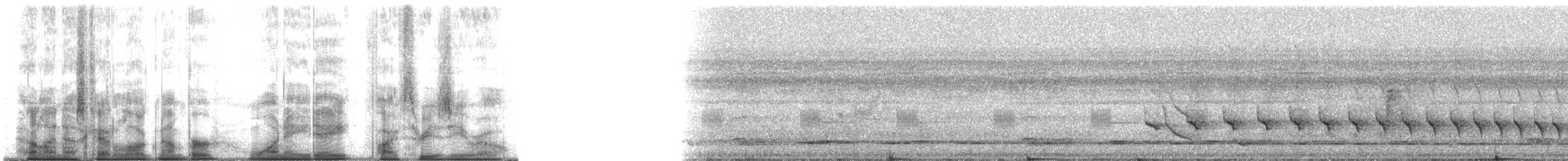 skjeggmaursmett (obscura) - ML188530