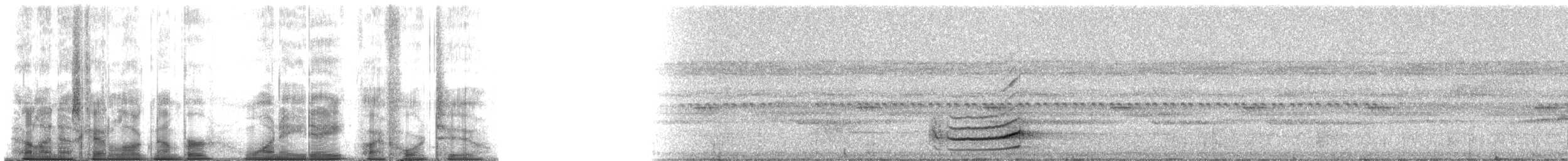 Zimtkehl-Baumspäher [obscurus-Gruppe] - ML188542