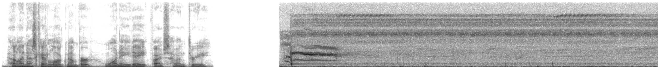 Філідор-лісовик іржастий [група obscurus] - ML188573