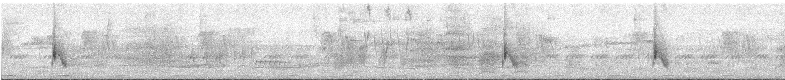 Schwarzrücken-Wassertyrann - ML188582201