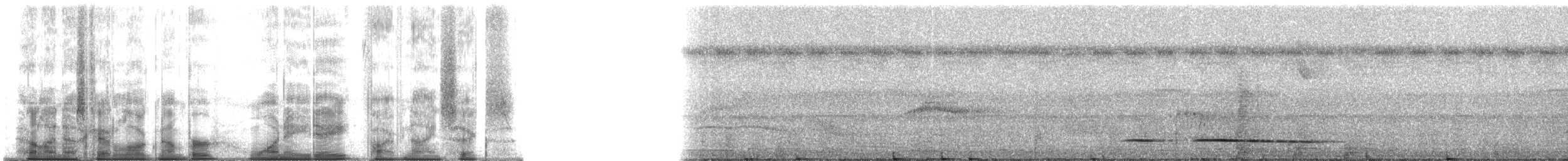 Rostkehl-Ameisenpitta - ML188596