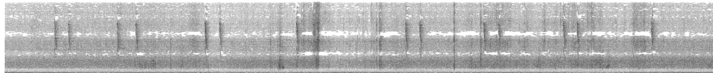 Troglodyte de Baird - ML188622741