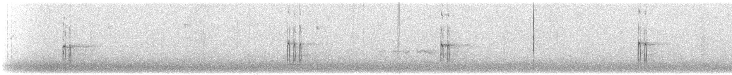 strakapoud bělohlavý - ML188804491