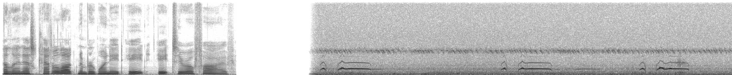 Kaninchenkauz (hypugaea/rostrata) - ML188805