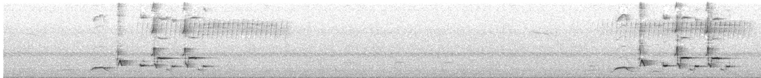 Isabellstreifen-Meisenschlüpfer - ML188917441