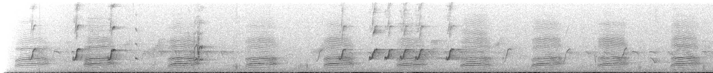 Perico de Port Lincoln (barnardi) - ML188996