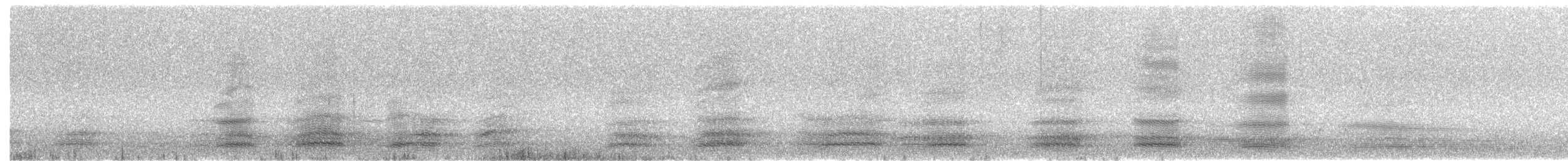 Тасманийский ворон - ML189150651