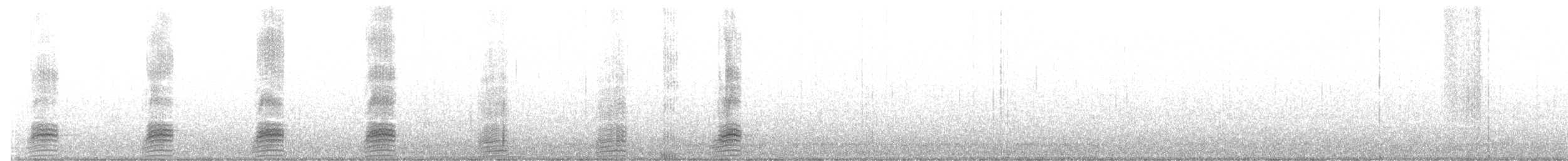 Mallard - ML189220901