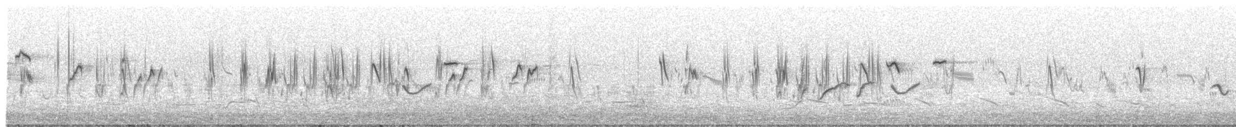 Singing Bushlark (Australasian) - ML189256991