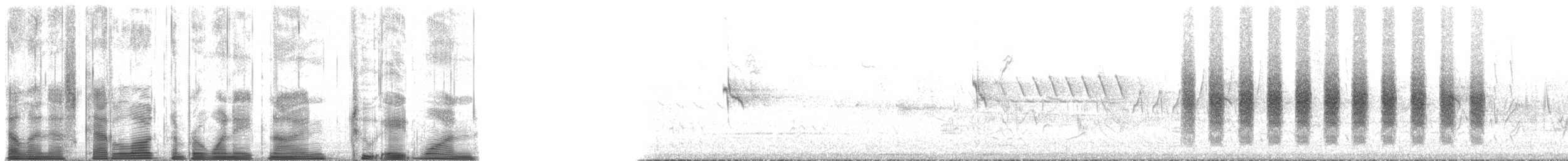 Black-tailed Gnatcatcher - ML189281