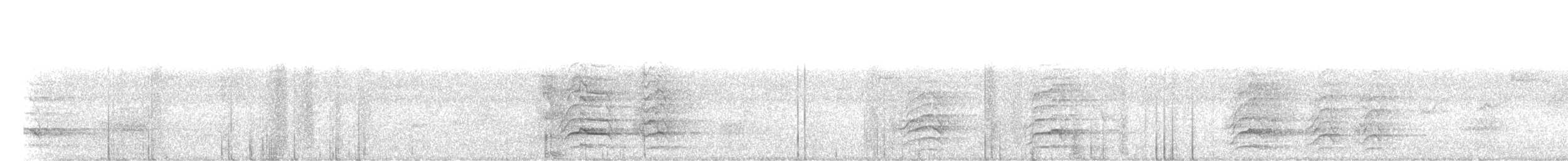 Malabar Gray Hornbill - ML189343541