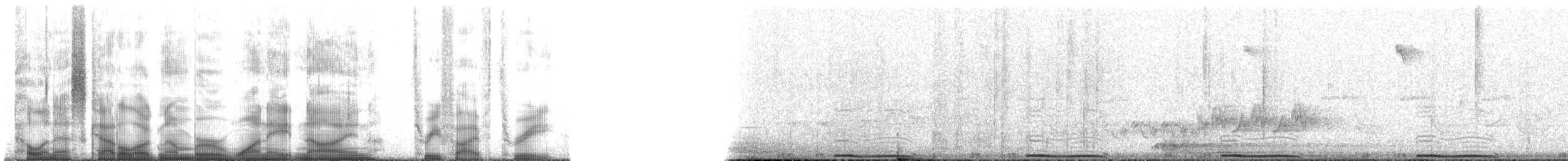 bånddue (fasciata gr.) - ML189353