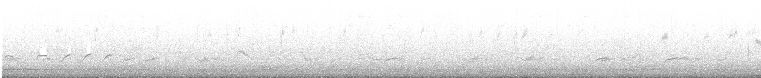 Spotted Sandpiper - ML189414861