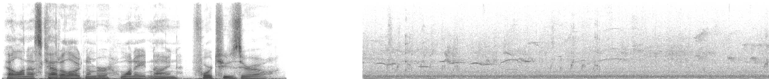 Kahverengi Kulaklı Papağan (frontalis) - ML189420