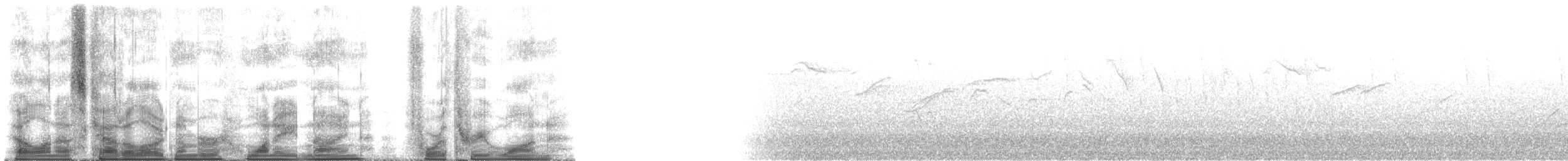 čejka jihoamerická (ssp. lampronotus) - ML189431