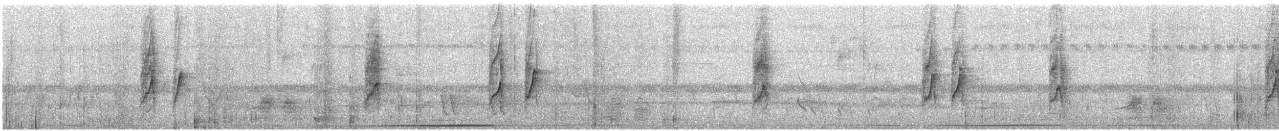Weißflanken-Ameisenschlüpfer - ML189468721