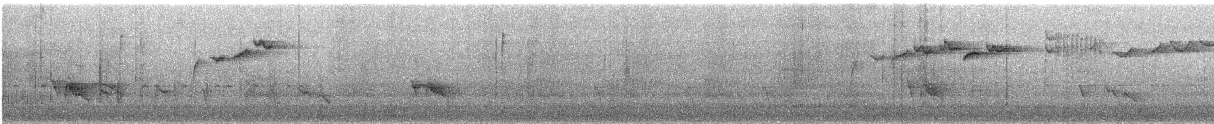 Янчик білобровий - ML189486261