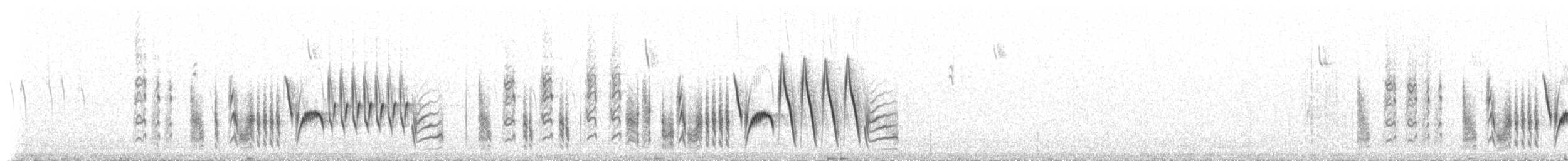 hussmett (musculus gr.) - ML189493