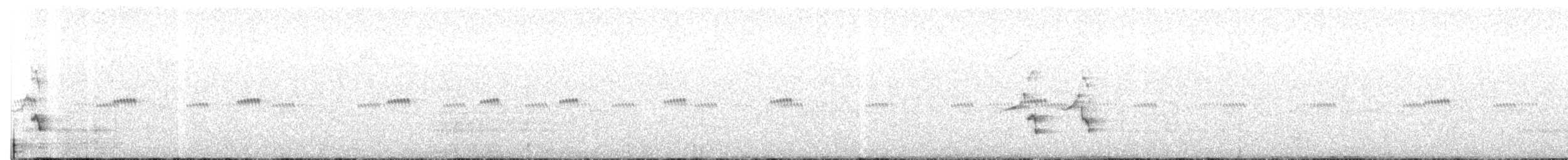 jay sp. - ML189502171