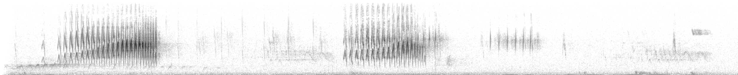 Streak-backed Canastero (Puna) - ML189508