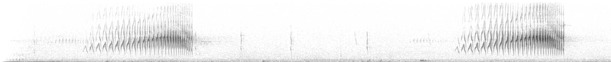 Streak-backed Canastero (Puna) - ML189513