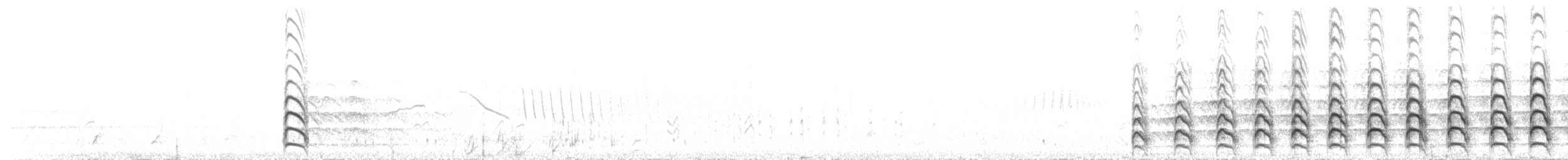 čejka jihoamerická (ssp. lampronotus) - ML189516