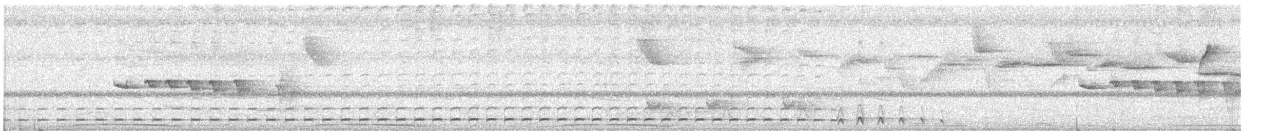 Short-tailed Antthrush - ML189540841