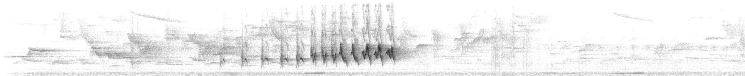 Two-banded Warbler (Two-banded) - ML189541