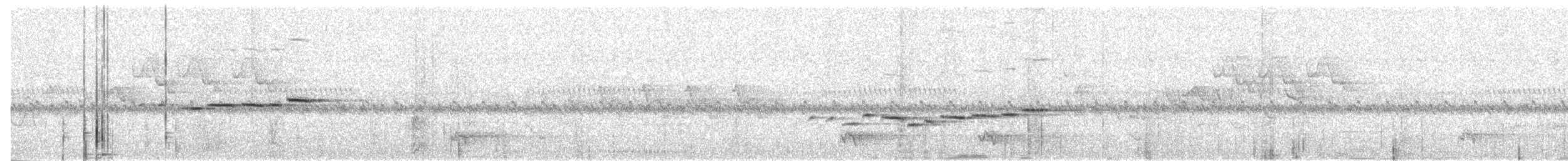 キバラサイホウチョウ - ML189585341