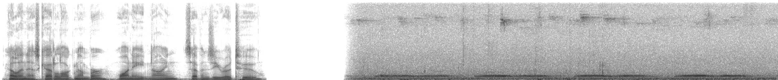 チャイロガマグチヨタカ（plumiferus） - ML189702