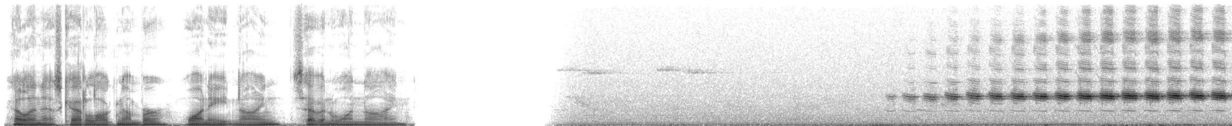 Sahul Cicadabird - ML189719