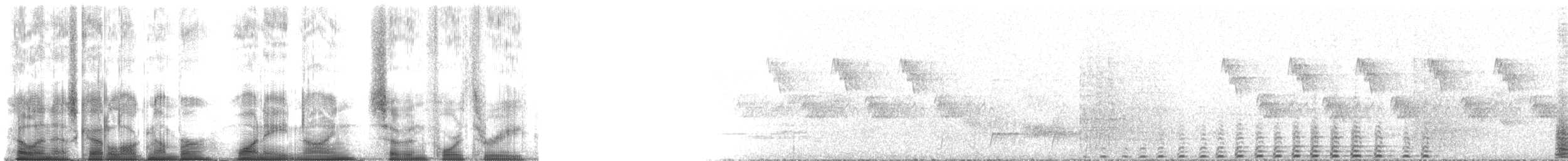 Бурый ушастый фазан - ML189743