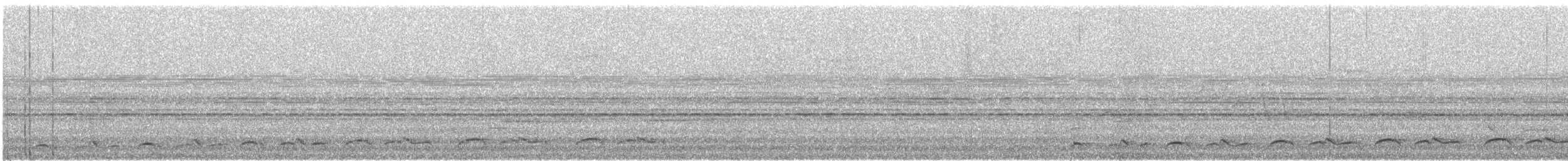 Lyre-tailed Nightjar - ML189801501