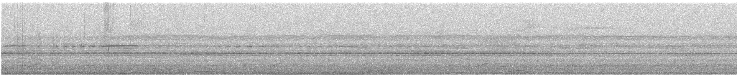 Leierschwanz-Nachtschwalbe - ML189802481