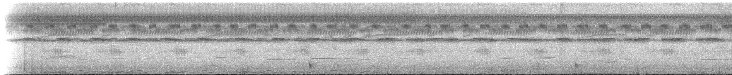 Bindenschwanz-Nachtschwalbe - ML189879931