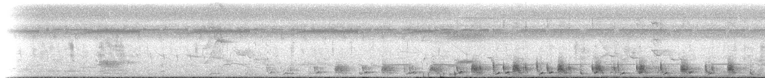 Troglodyte bicolore - ML189880611