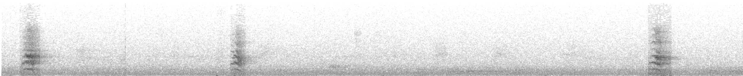 Conure magellanique - ML189914561