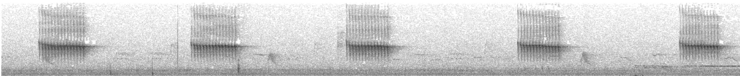 Thorn-tailed Rayadito - ML189916271